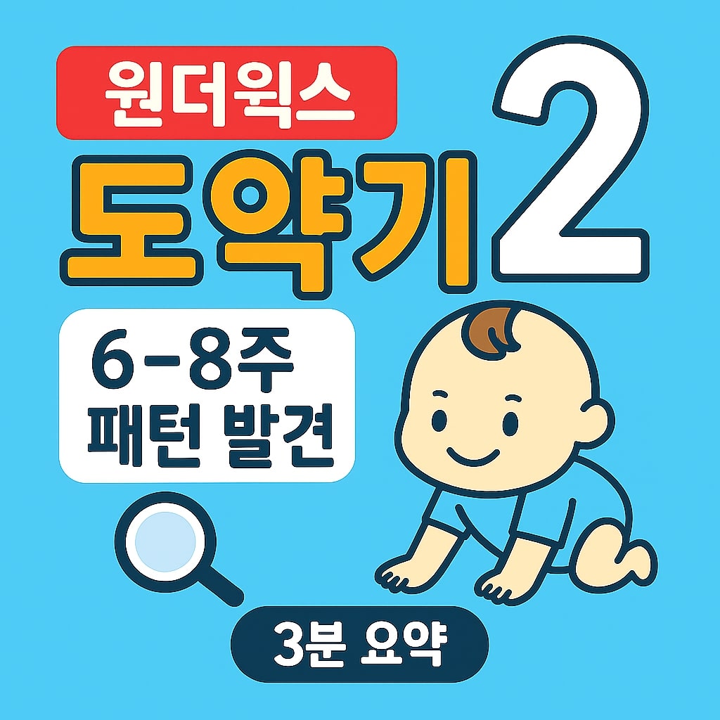 원더윅스 도약기 2 6-8주 패턴 발견 - 3분 요약