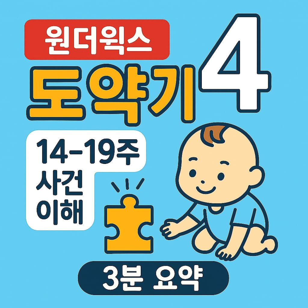 원더윅스 도약기 4 14-19주 사건 이해 - 3분 요약