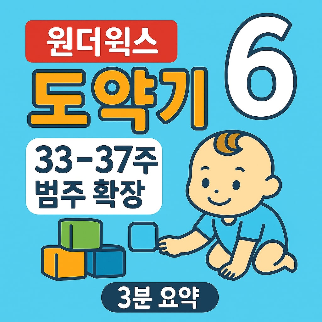 원더윅스 도약기 6 33-37주 범주 확장 - 3분 요약