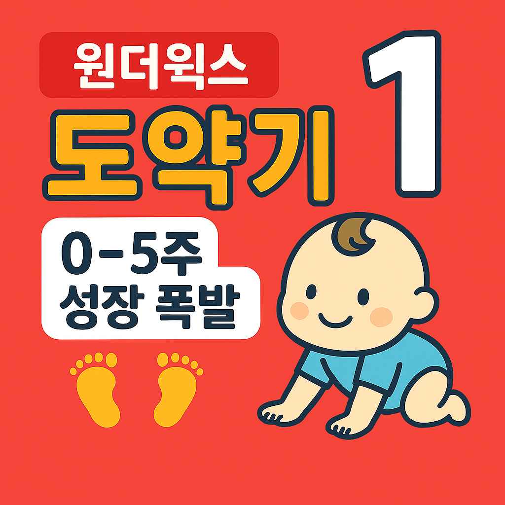 원더윅스 도약기 1 0-5주 성장 폭발