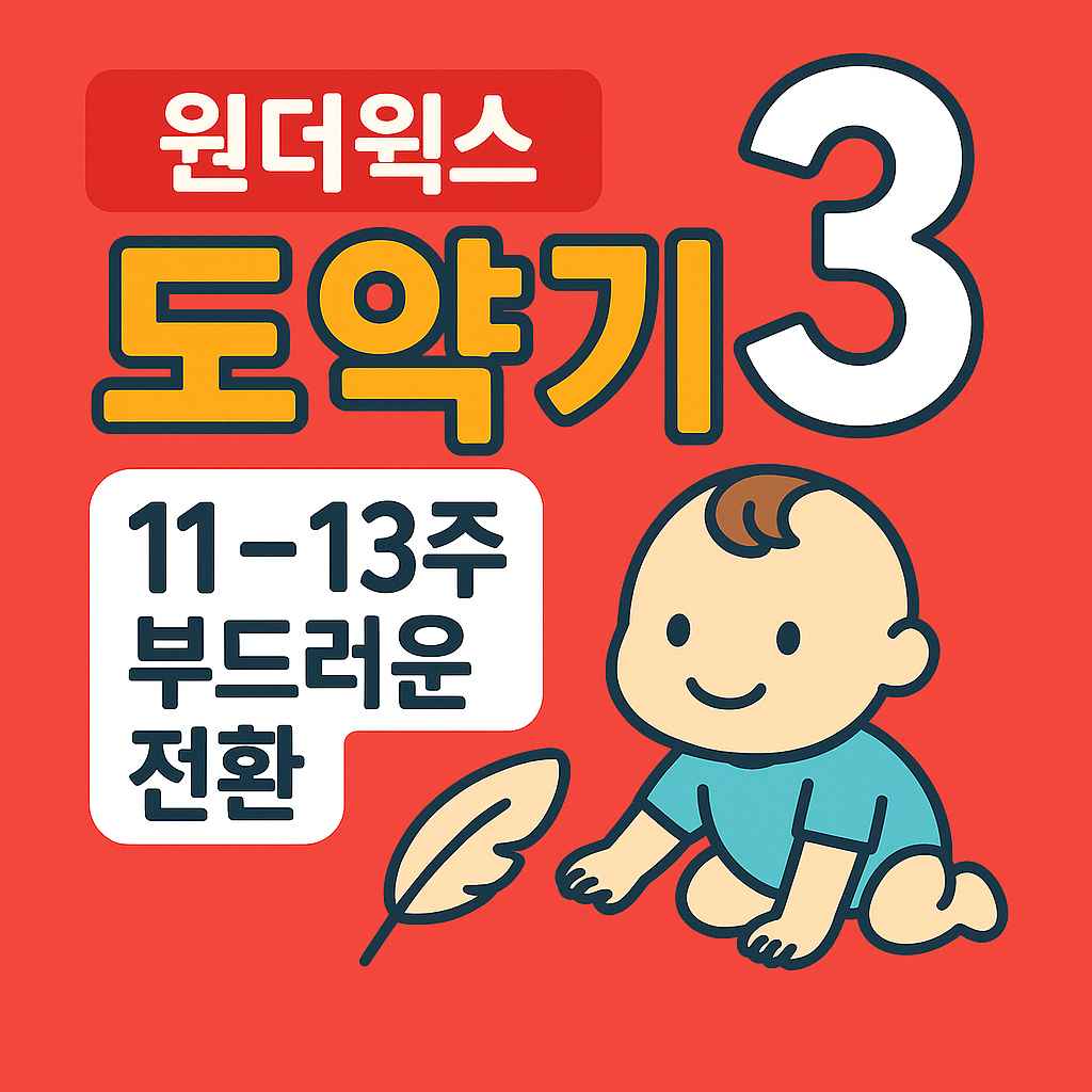 원더윅스 도약기 3 11-13주 부드러운 전환